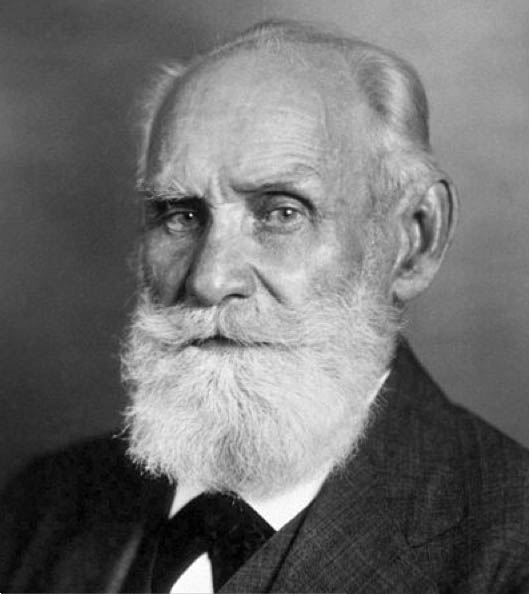 pavlov in addition to skinner pavlov as well as skinner